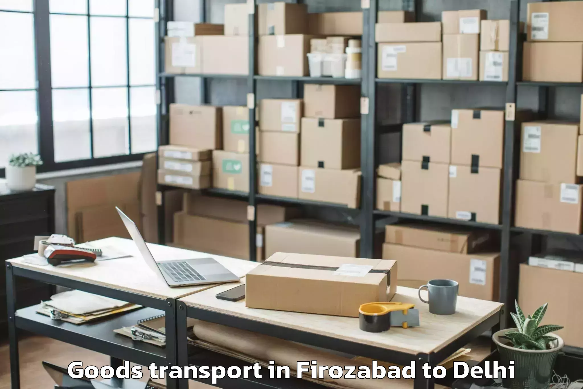 Affordable Firozabad to C R R I Goods Transport